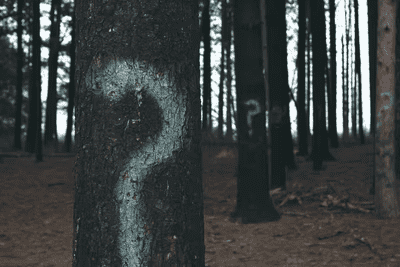 Question Mark painting on Trees