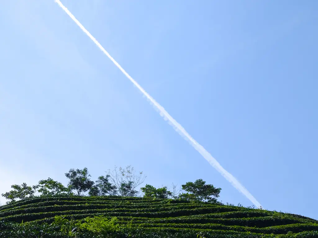 Rasto de condensação de um avião a atravessar um céu azul sobre terrenos agrícolas verdes.